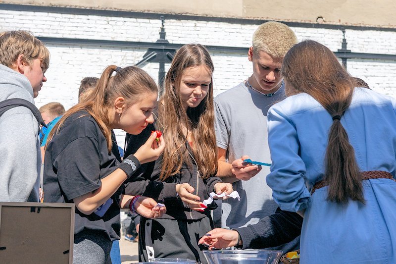 Piknik – Festiwal Pieniądza